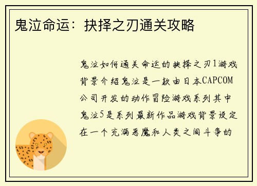 鬼泣命运：抉择之刃通关攻略